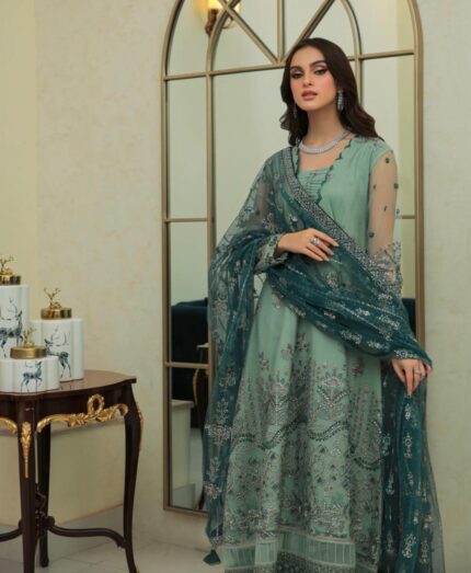 HEER XENIA Embroidered Net Gown and Dupatta